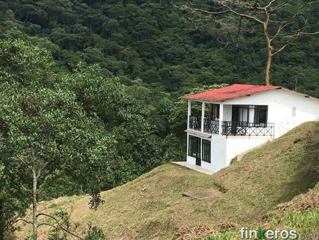 Fincas em Villavicencio: as planícies dos Llanos a três horas de Bogotá